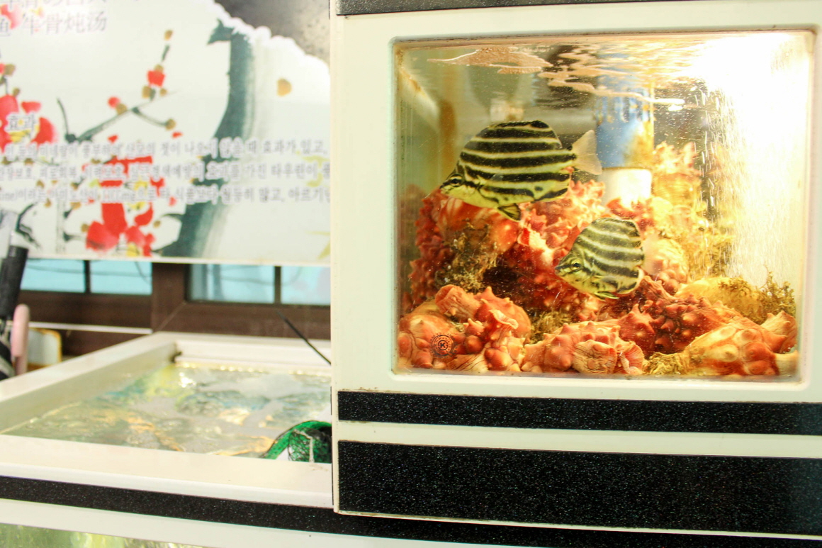 오가네전복설렁탕