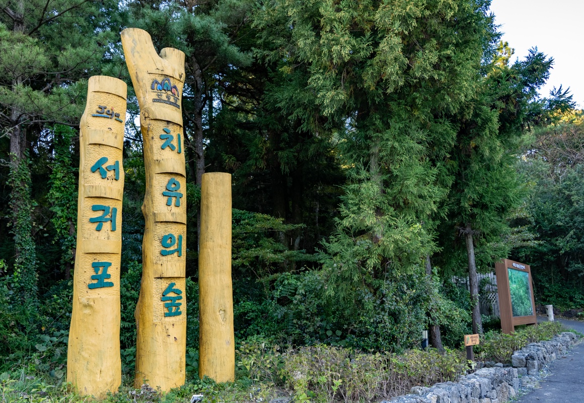 서귀포 치유의 숲
