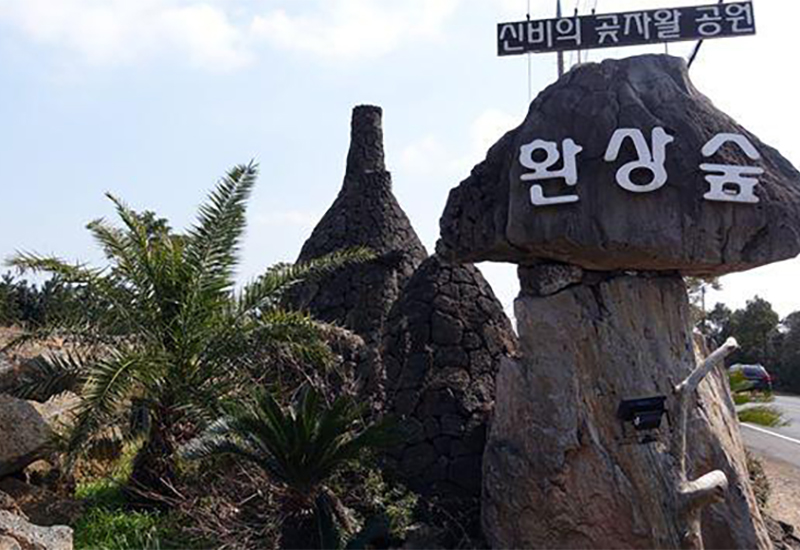 10 Spots for Wellness Travel on Jeju