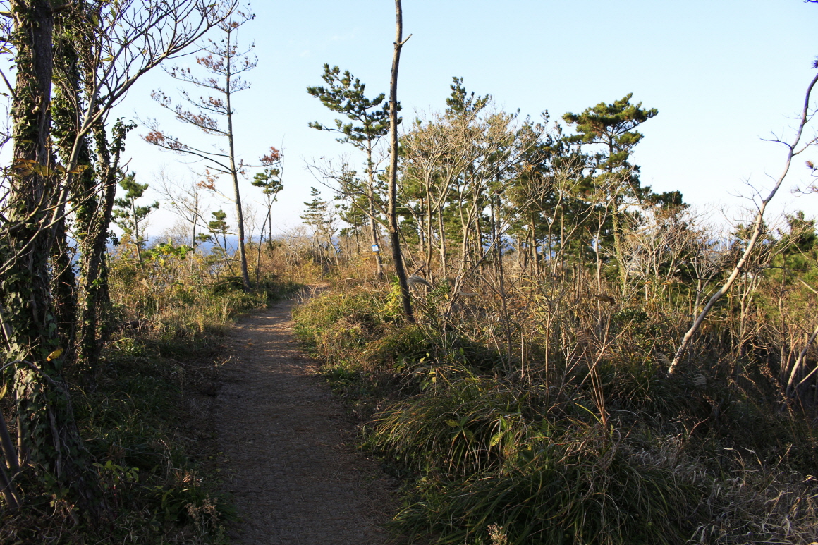 당산봉(당오름,차귀오름)