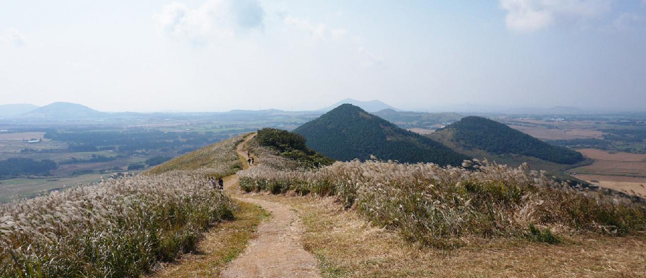 Jeju Road Trips: Six Fun Spots on the Pyeonghwa-ro 