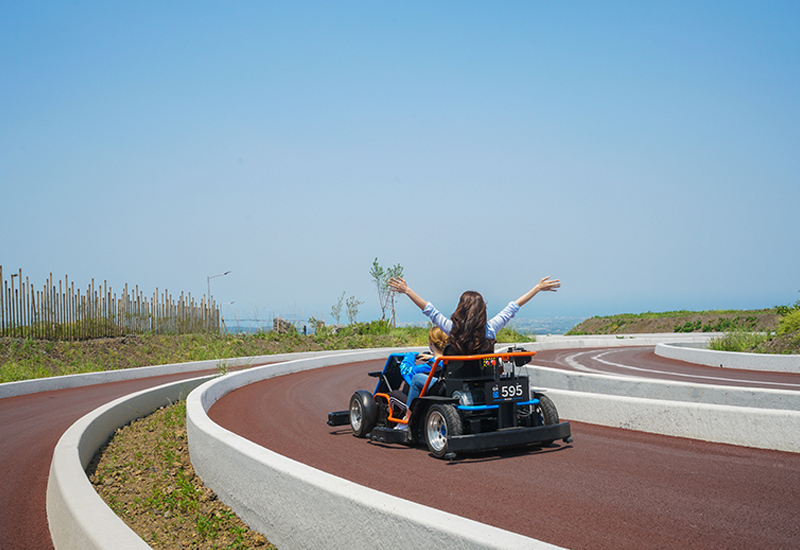 High-Speed Racing at 9.81 Park