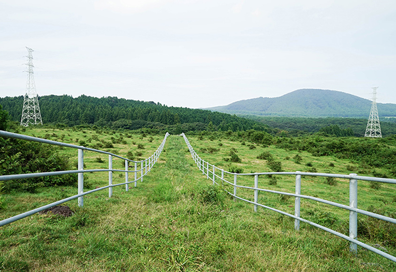 Horseback Riding in Uigwi-ri