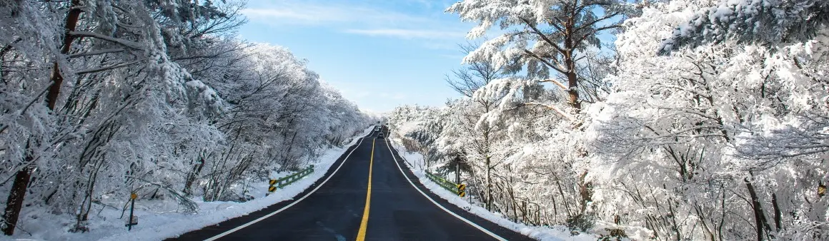濟州1100高地冬季積雪與雪花山景實景
