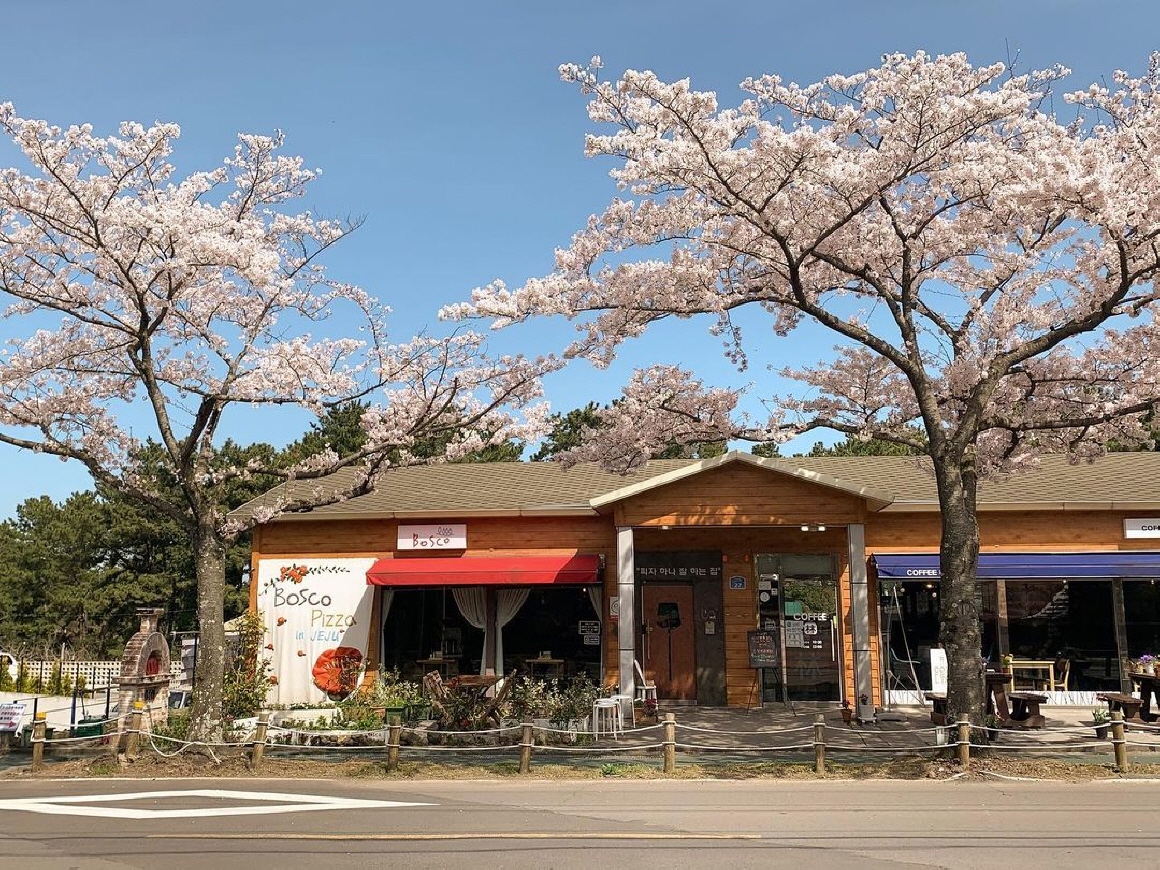보스코화덕피자