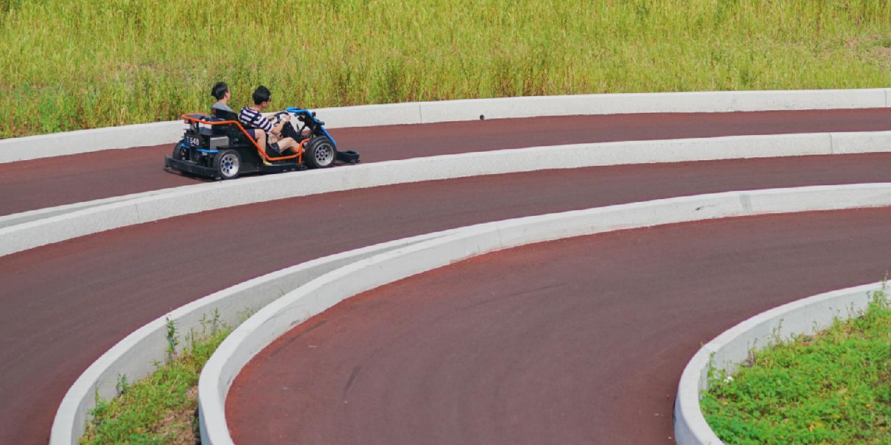 High-Speed Racing at 9.81 Park