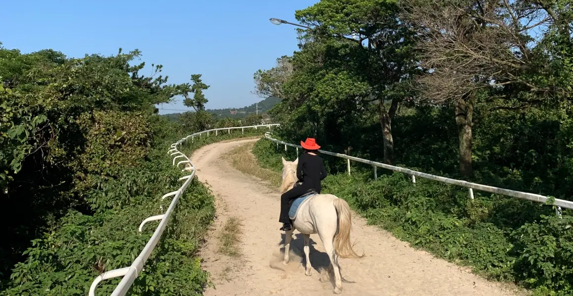 더마파크