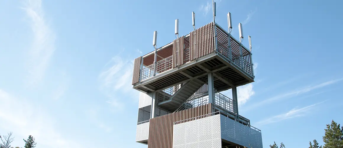 Jeju Gotjawal Provincial Park