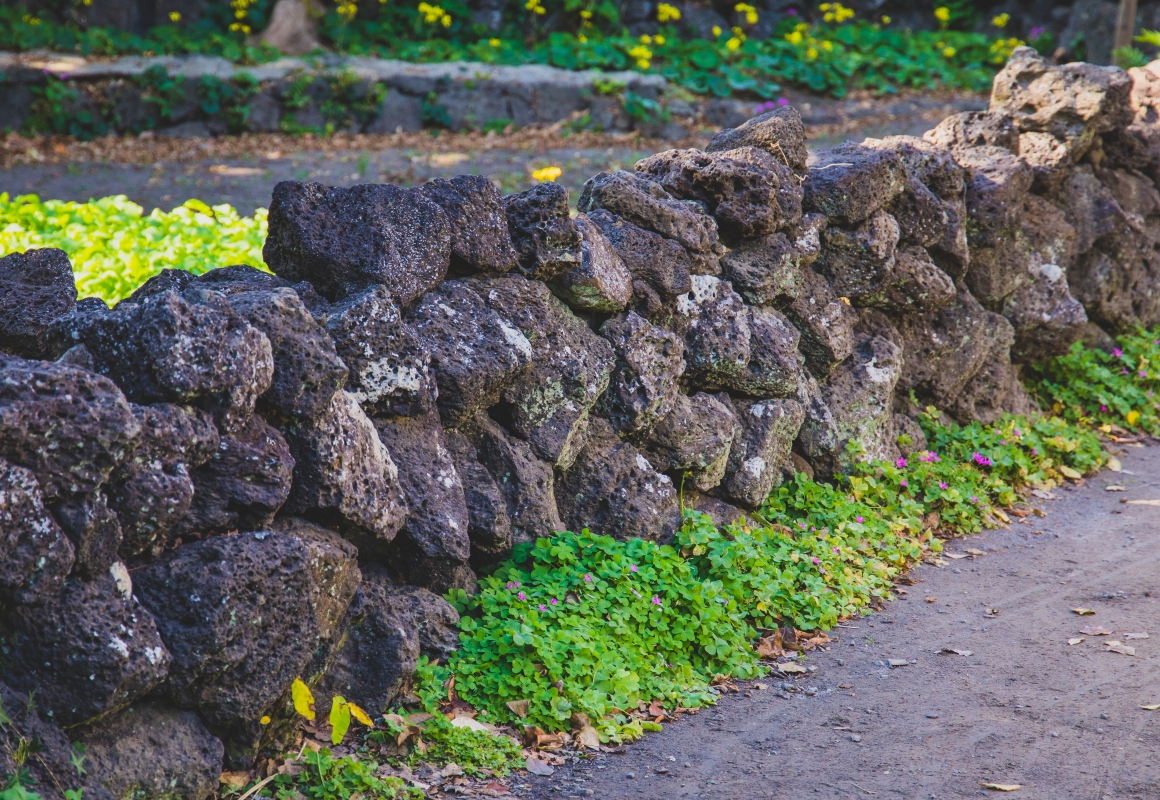 제주돌담