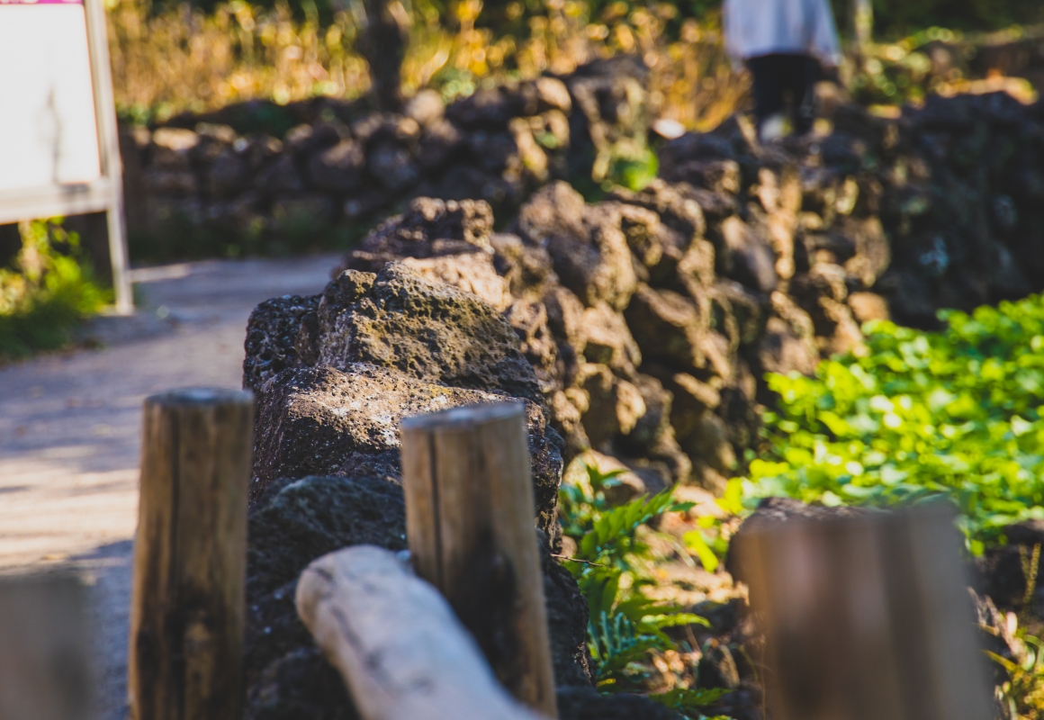 제주돌담