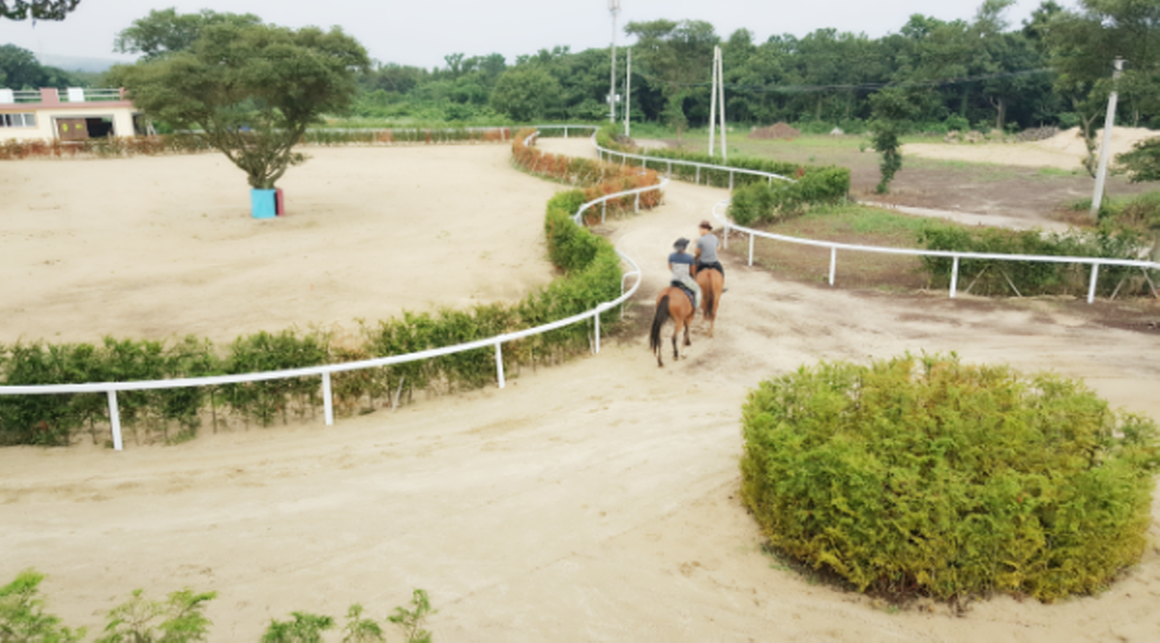 Jeju Island Horseback Riding at Mawon