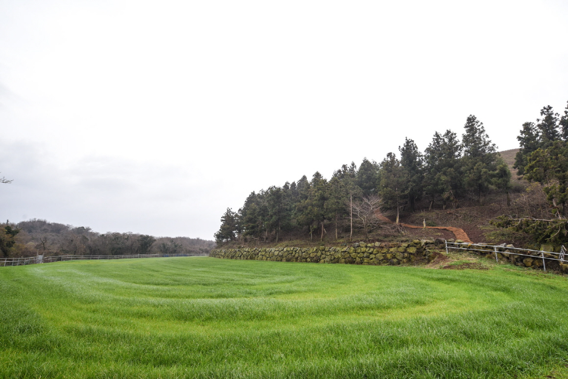 Jeju Olle 14-1 Trail