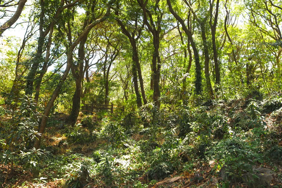 금산공원