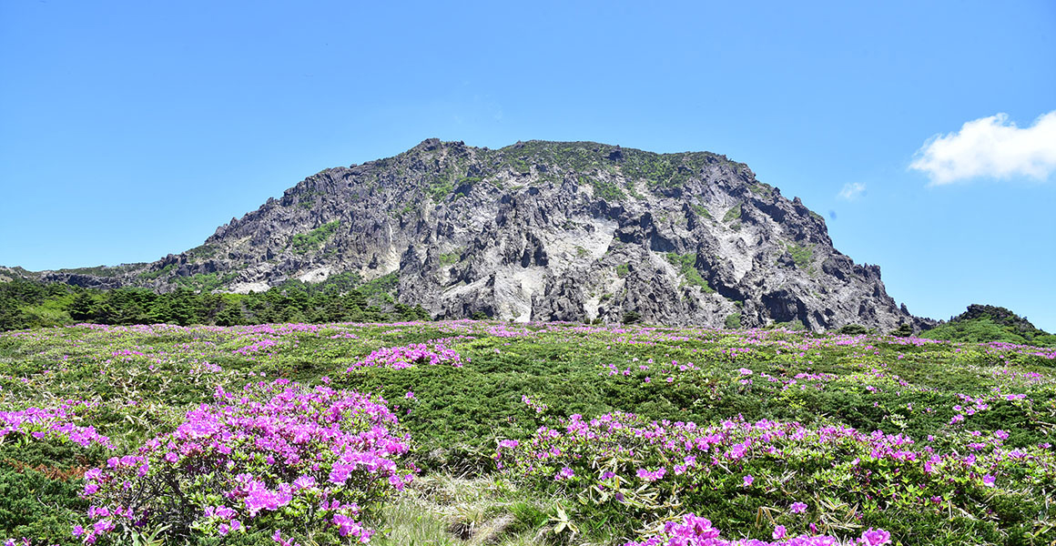 한라산2