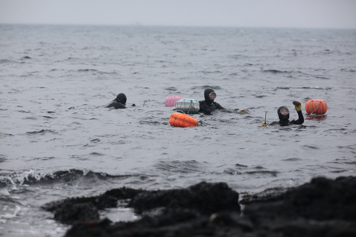 THE CULTURE OF THE HAENYEO, JEJU’S WOMEN DIVERS