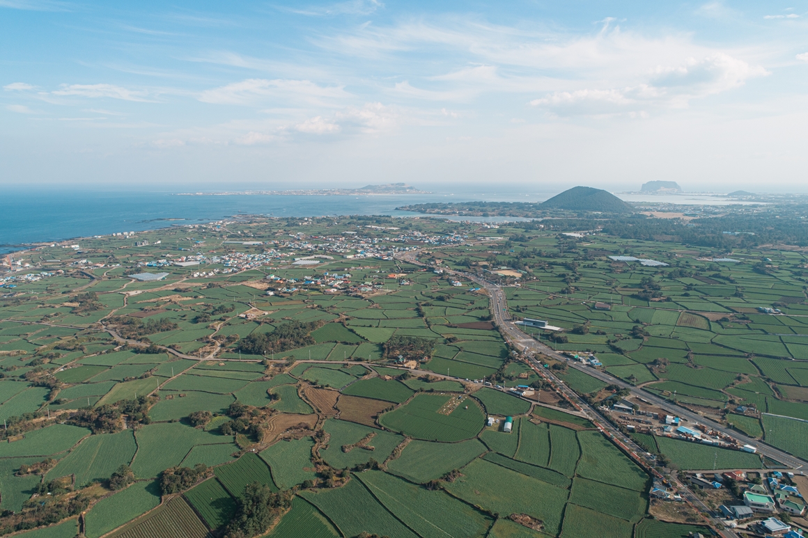 JEJU ISLAND’S CULTURE OF STONE