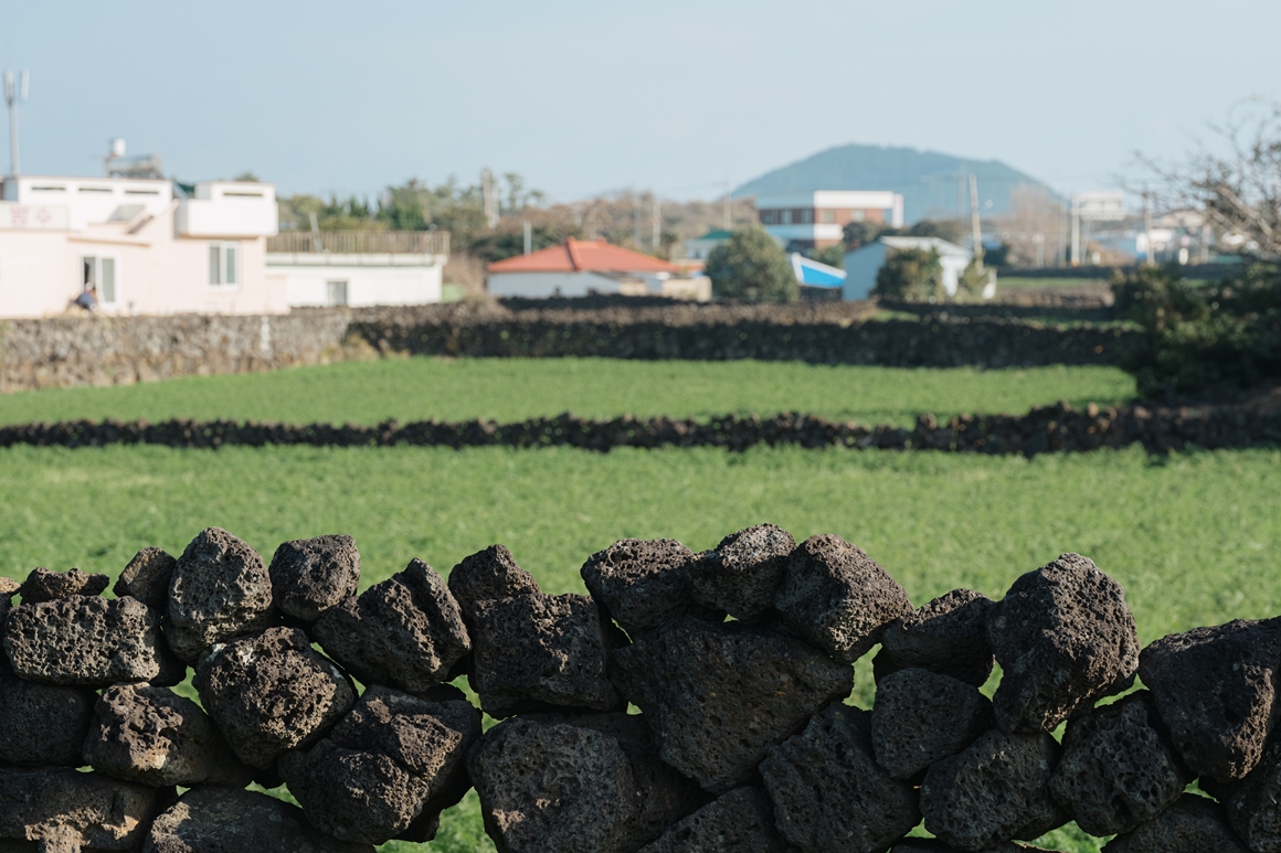 JEJU ISLAND’S CULTURE OF STONE