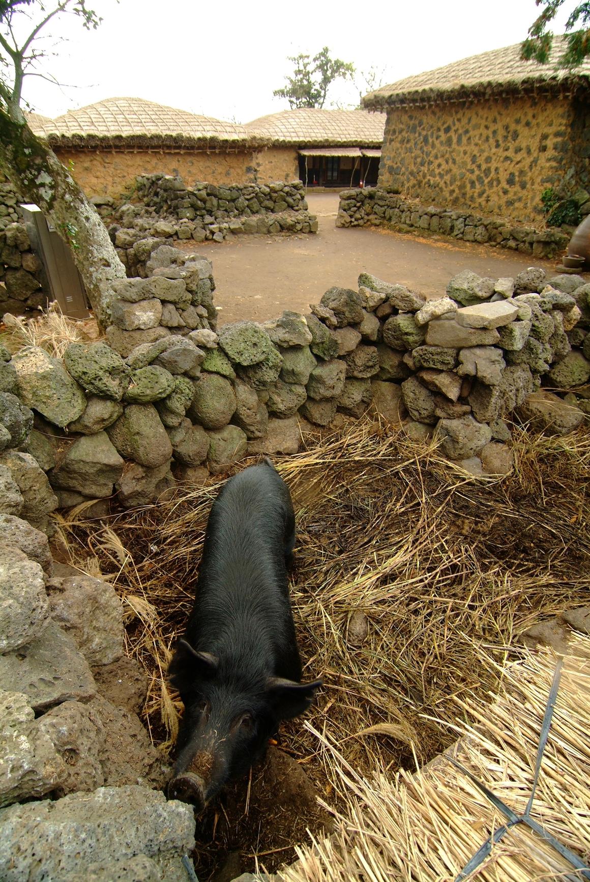 Housing Culture of Jeju Island