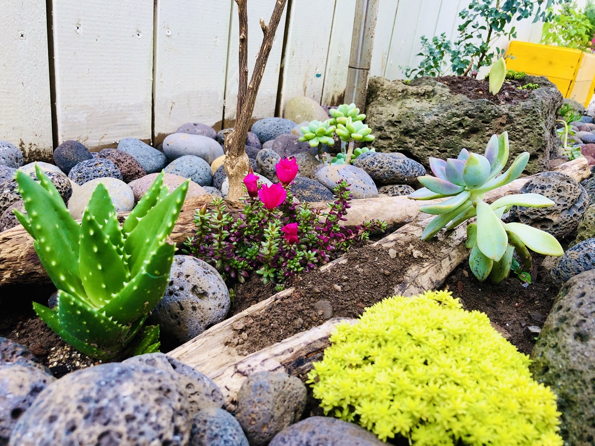 씨스테이 용두암