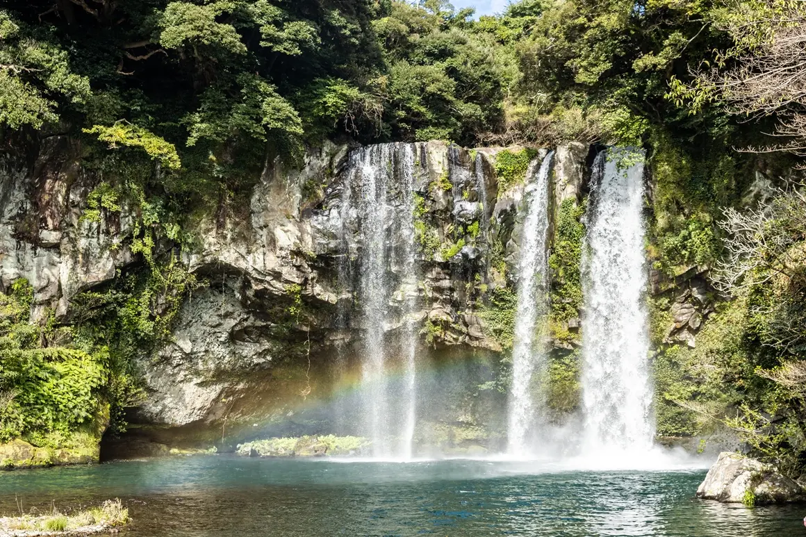 Jeju Weather & Seasonal Activities