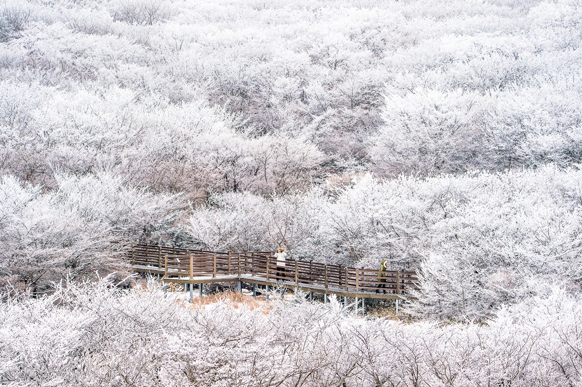 JEJU ISLAND WEATHER & SEASONAL ACTIVITIES