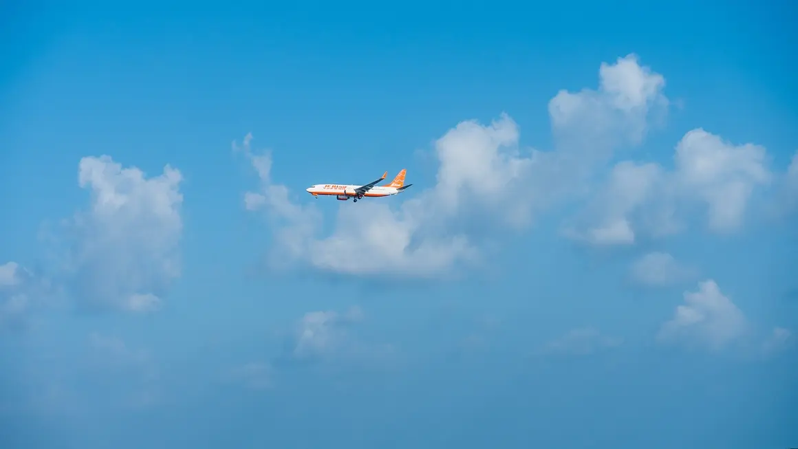 Useful Jeju Travel Information