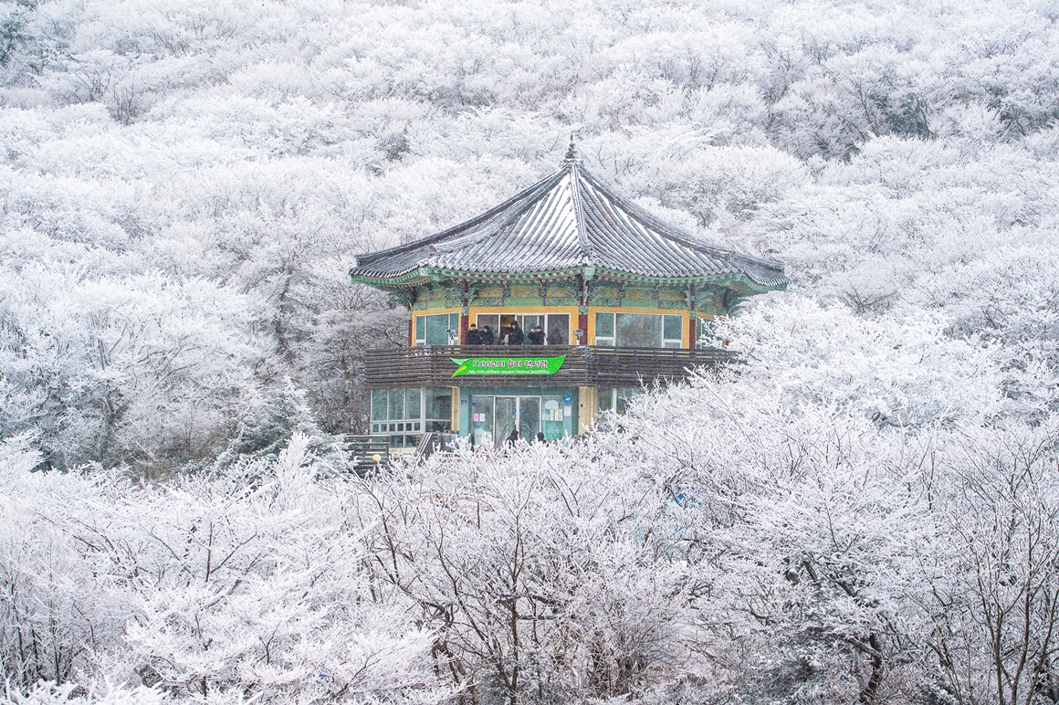 눈이 오면 더 매력적인 ‘1100도로 여행지’