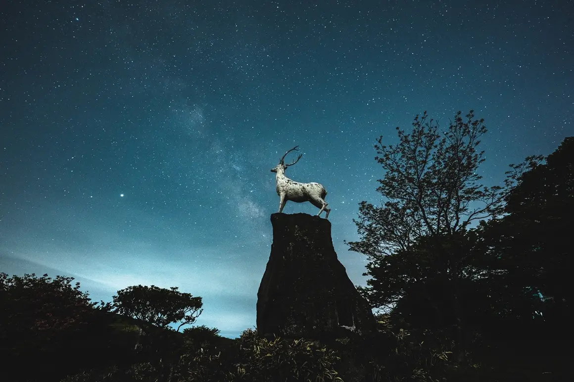 Visit Jeju