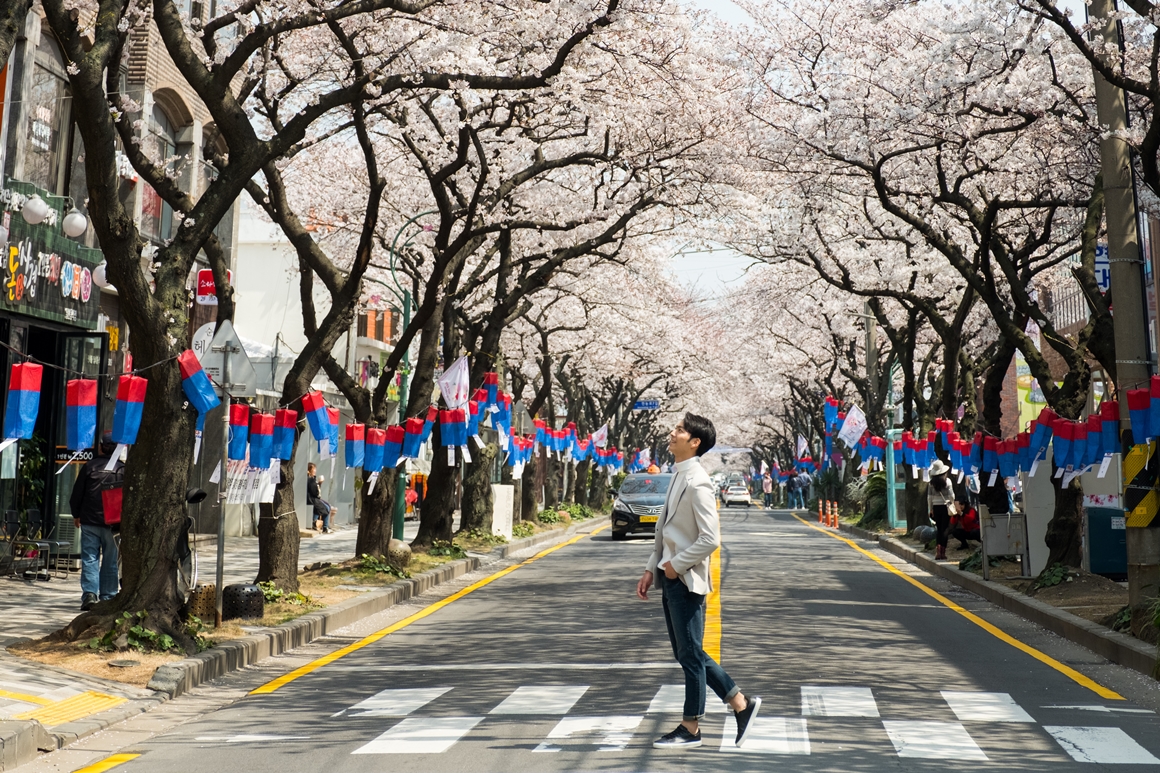 제주 봄꽃 명소 <3월 광도르방 투어>