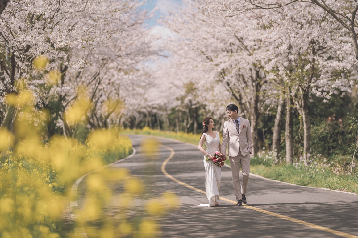 제주 봄꽃 명소 <3월 광도르방 투어>