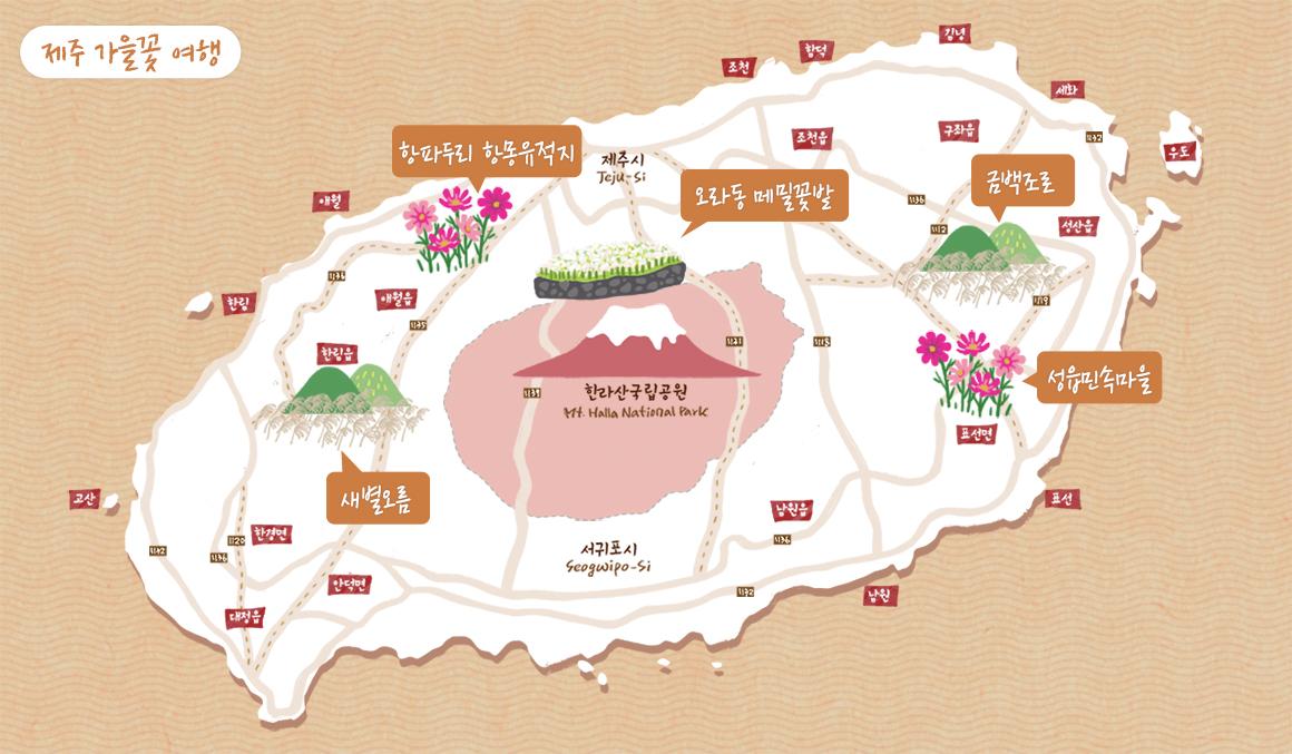 꽃길만 걸어요 <제주 가을꽃 여행>
