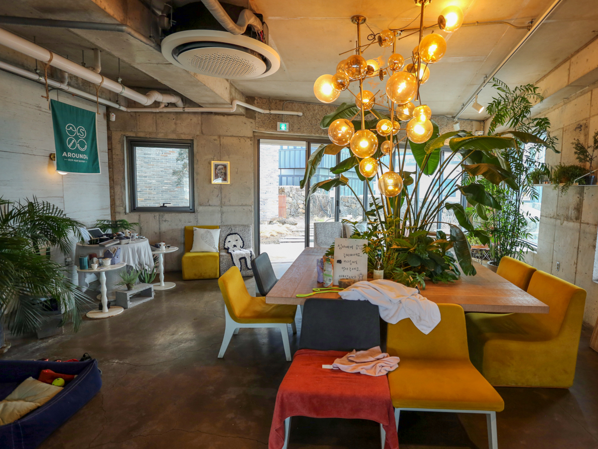 심바카레 내부전경