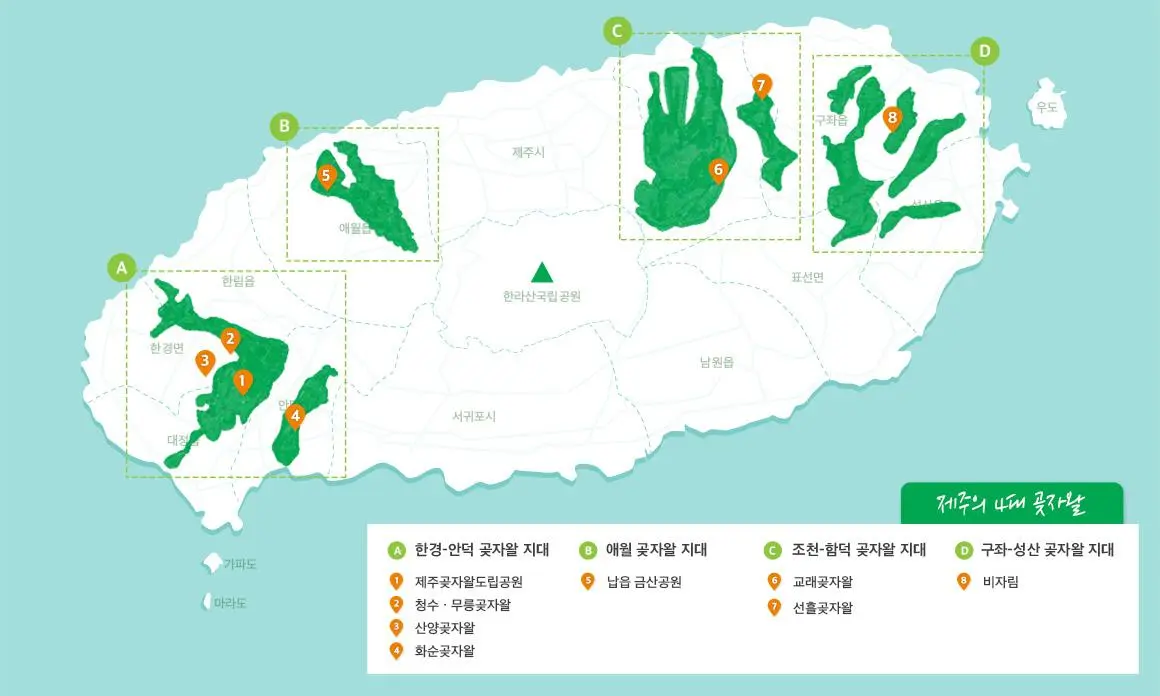 삶이된 숲, 숲이된 삶 <곶자왈여행>