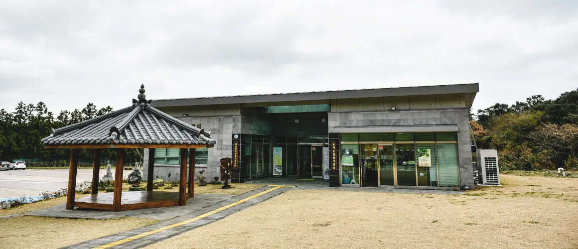 삶이된 숲, 숲이된 삶 <곶자왈여행>