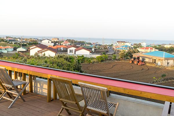 제주를 닮은 간식 먹어봤수꽈 <제주의 통통 튀는 간식들>