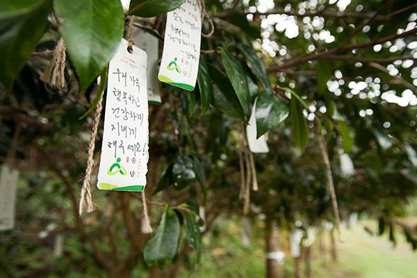 소원 비는 중산간 마을 <신(神)들의 고향, 송당리>