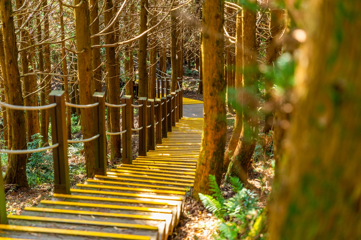 자연이 남긴 보물 <세계자연유산 거문오름 탐방>