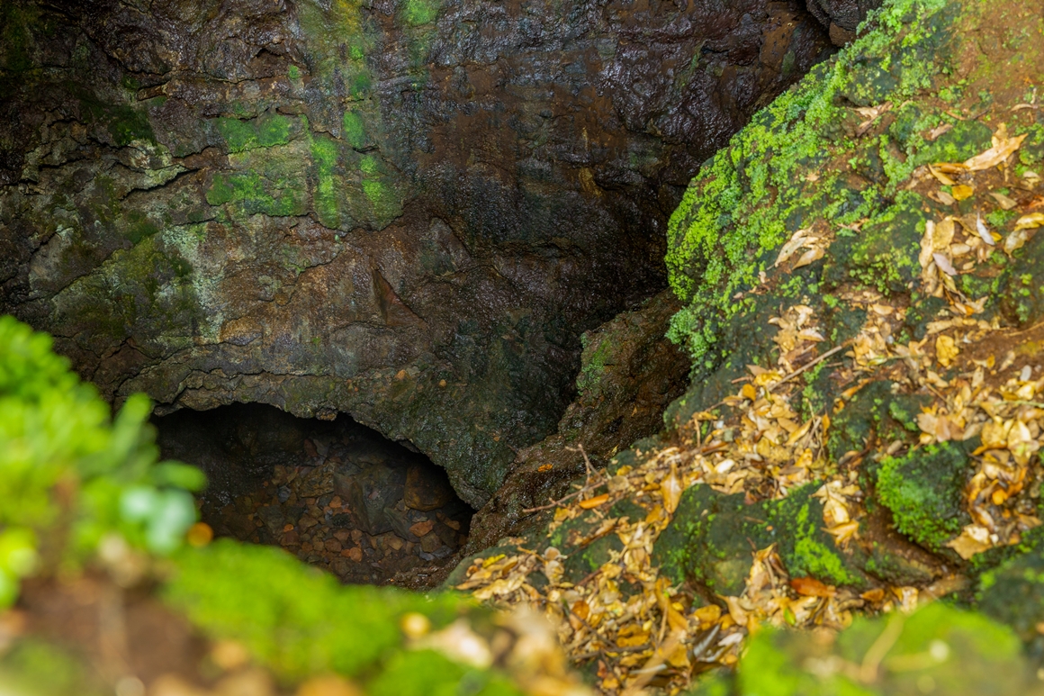 자연이 남긴 보물 <세계자연유산 거문오름 탐방>