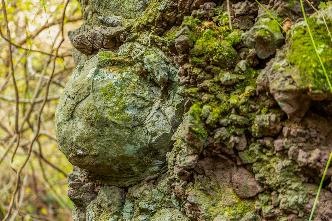 자연이 남긴 보물 <세계자연유산 거문오름 탐방>