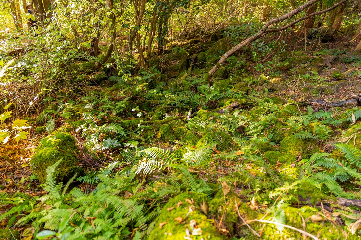 자연이 남긴 보물 <세계자연유산 거문오름 탐방>