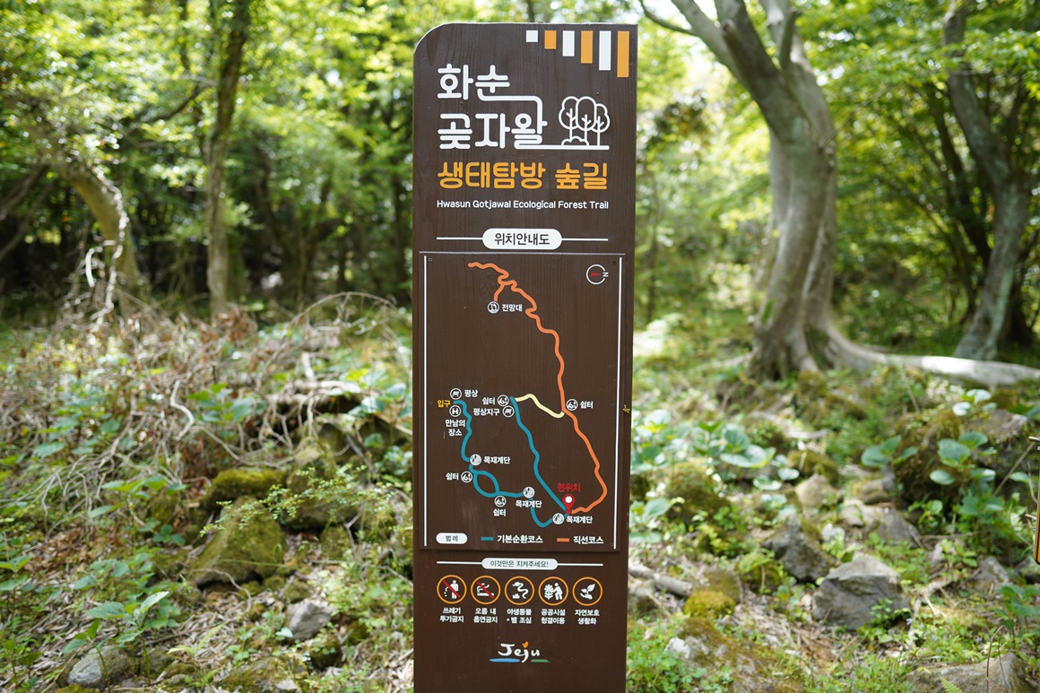 제주 걷기 좋은 길 추천<곶자왈>