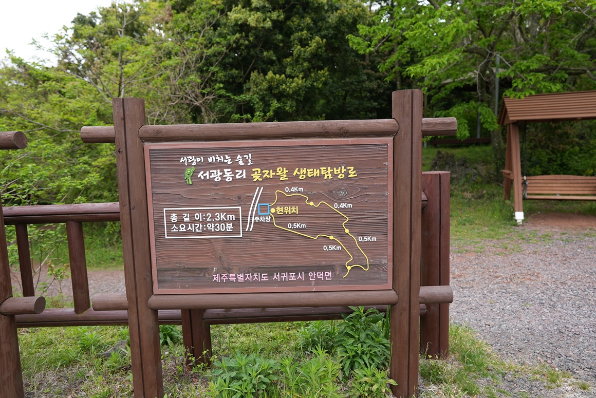 제주 걷기 좋은 길 추천<곶자왈>