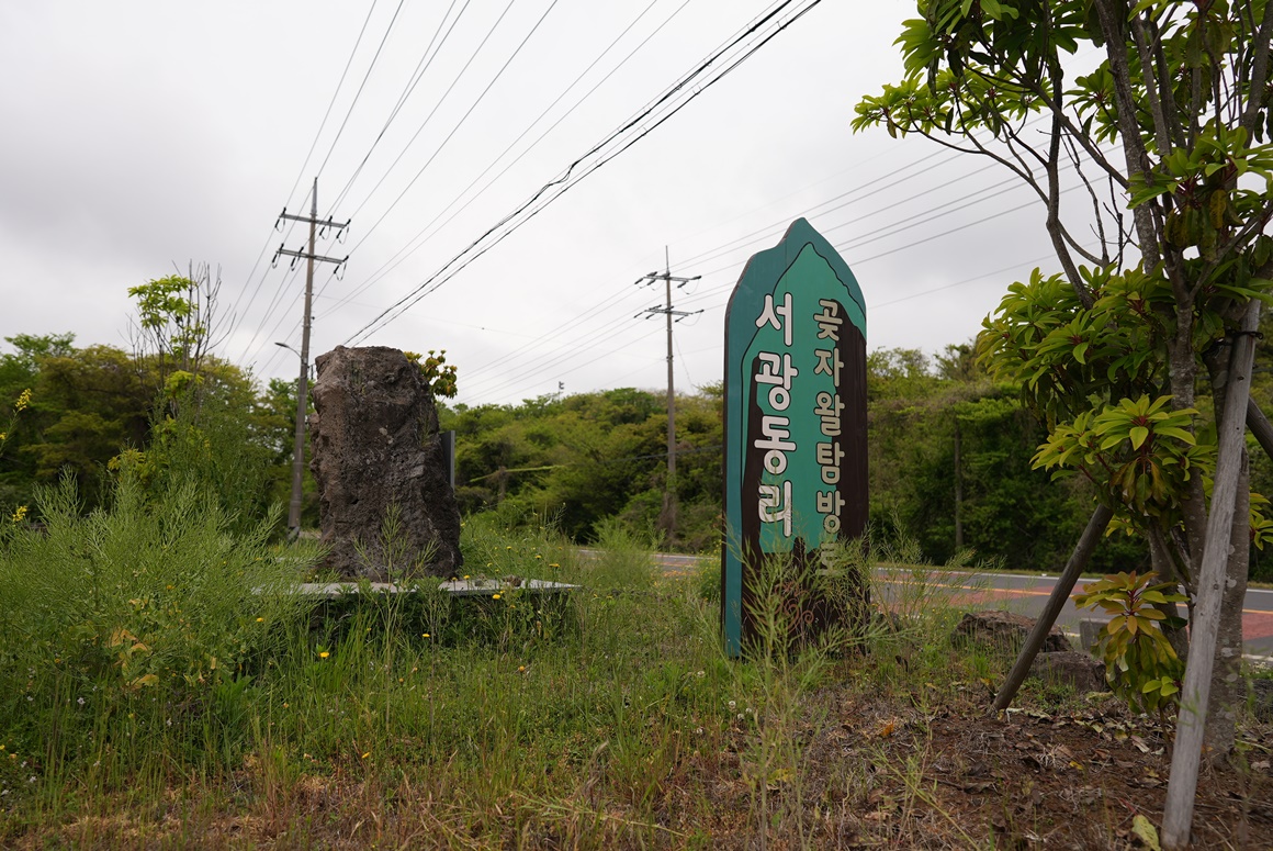 제주 걷기 좋은 길 추천<곶자왈>