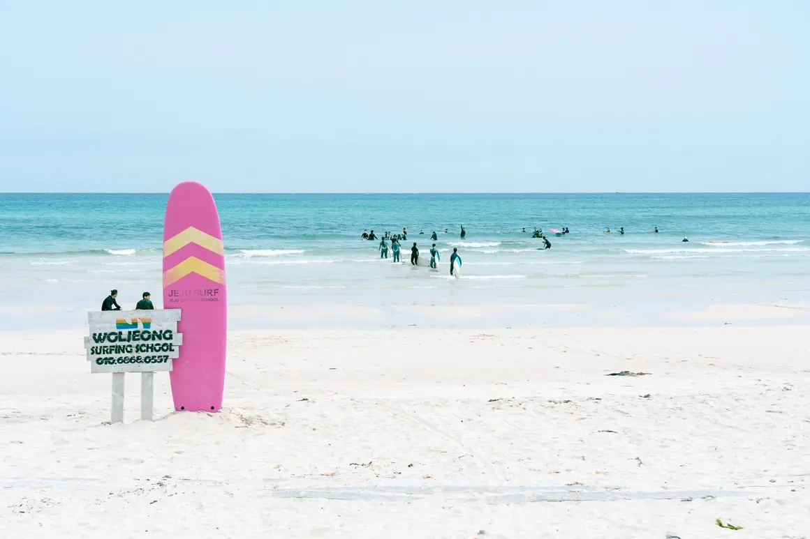 찬란한 제주의 여름을 즐기는 법 <해안로드트립 동부편>