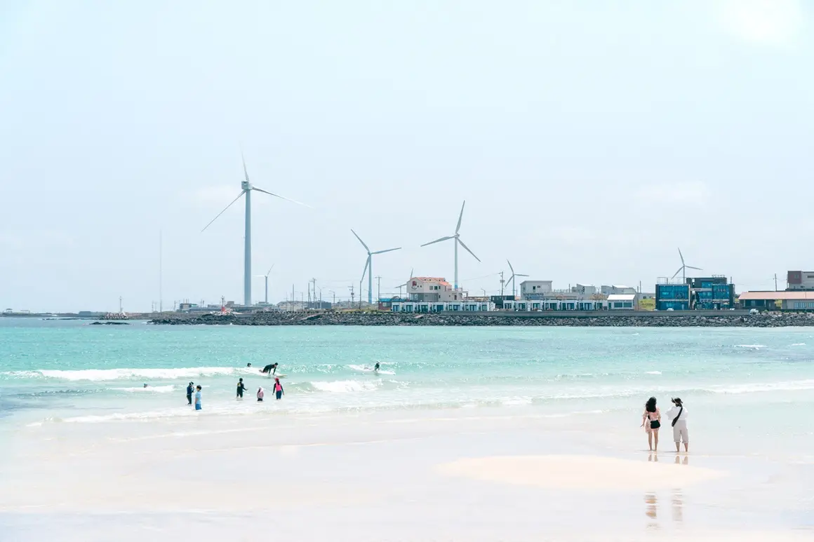 찬란한 제주의 여름을 즐기는 법 <해안로드트립 동부편>