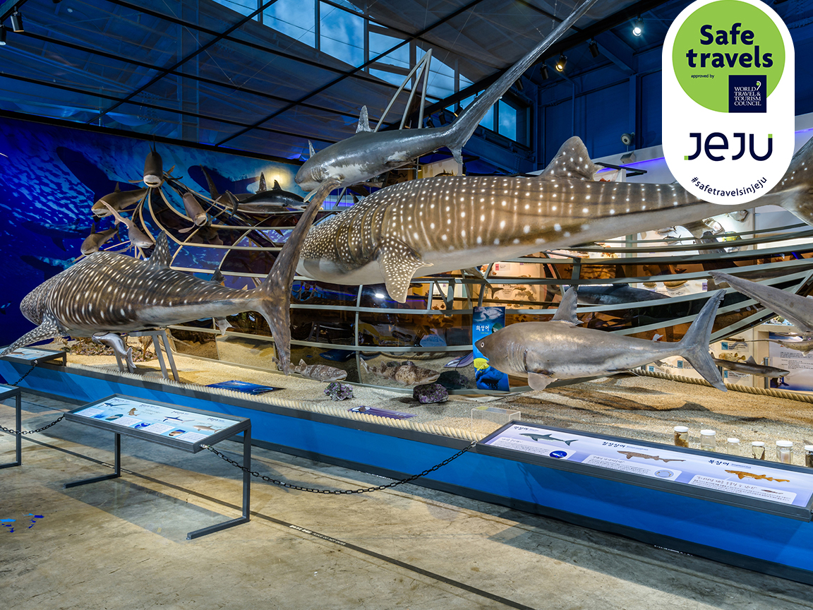 Jeju Marine Animal Museum