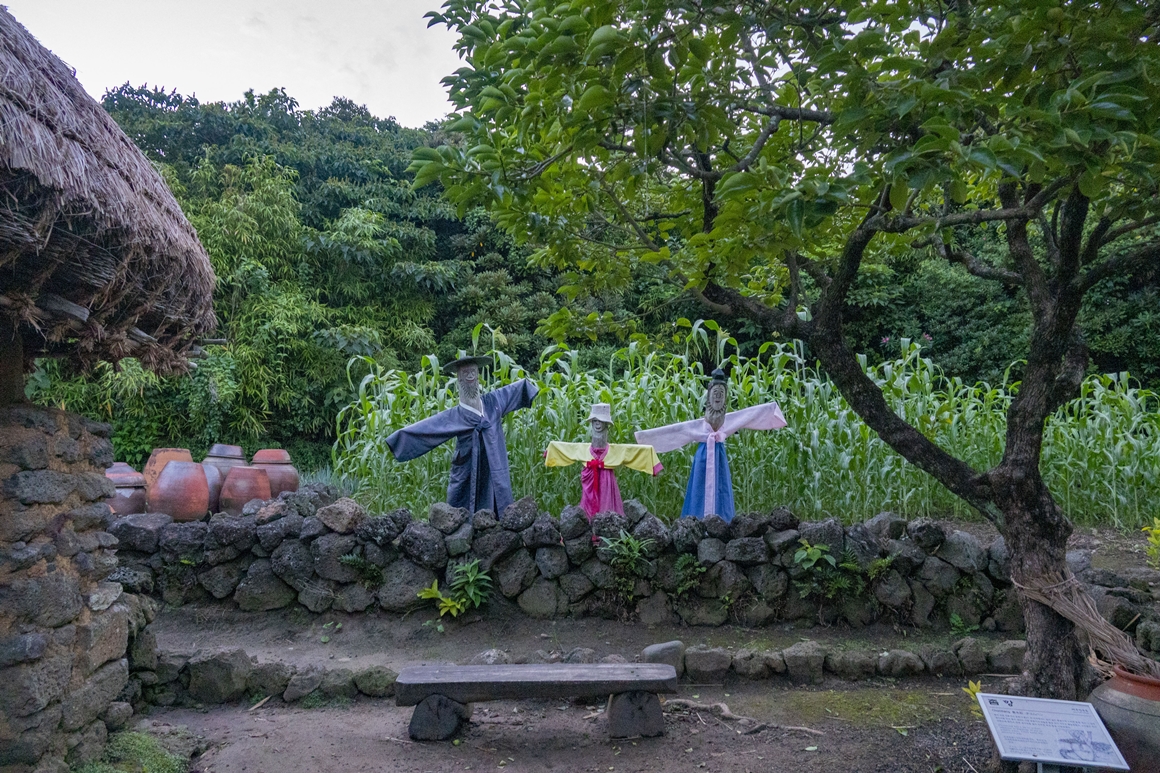 리얼 제주를 만나다! <제주 힐링여행지-여름편>