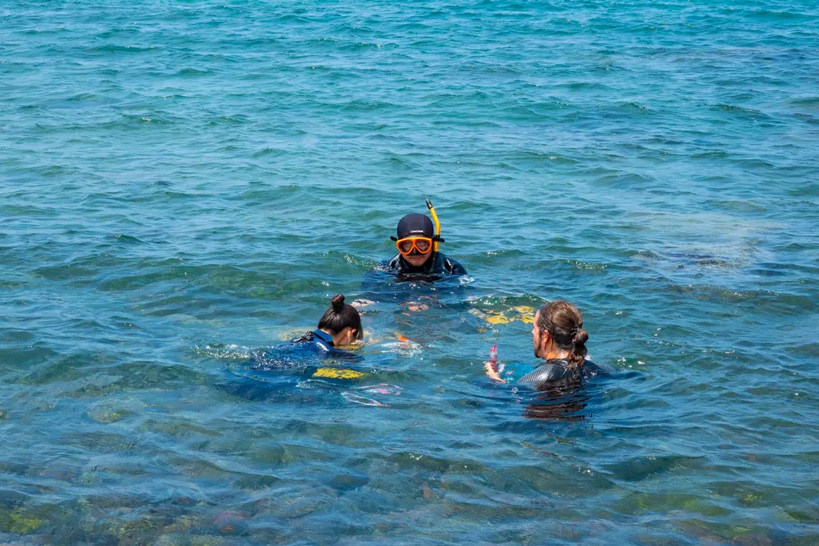 Meet the REAL JEJU! “Fishing Village Experience - Haenyeo (Women diver) Edition” 