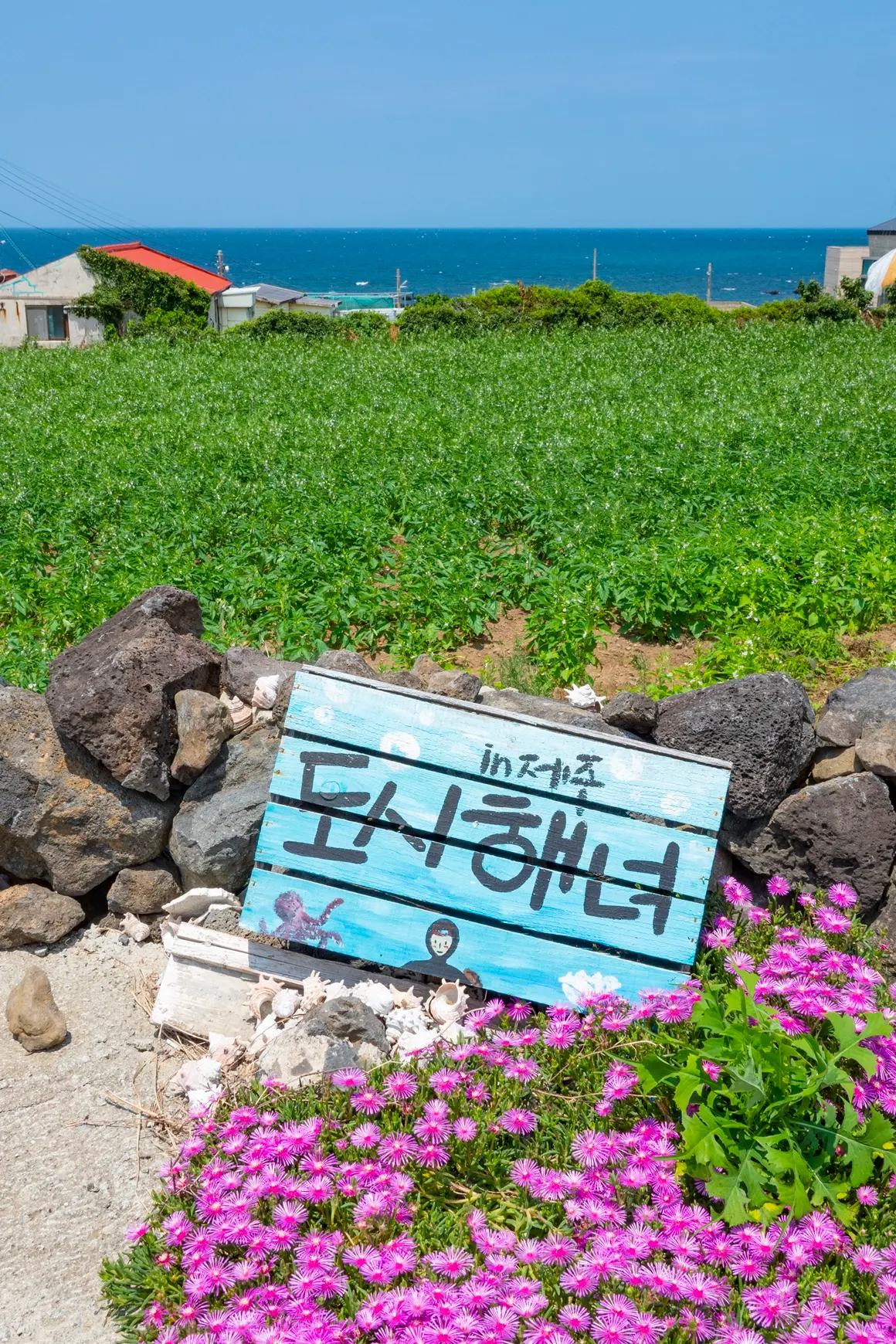 Meet the REAL JEJU! “Fishing Village Experience - Haenyeo (Women diver) Edition” 