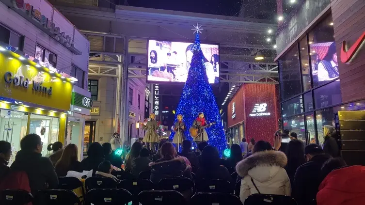 常に美しい済州島、1月はさらに美しい